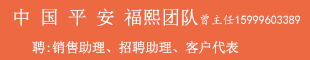 中國平安福熙團(tuán)隊(duì) 